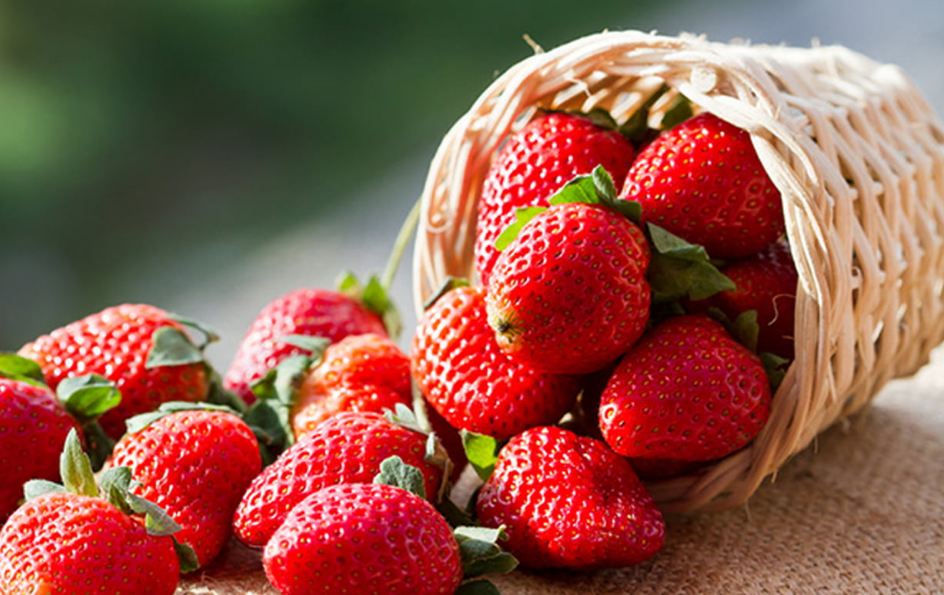 Ukubona udla ama-strawberries ephusheni