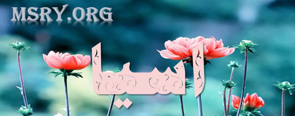 معنى اسم آسيا