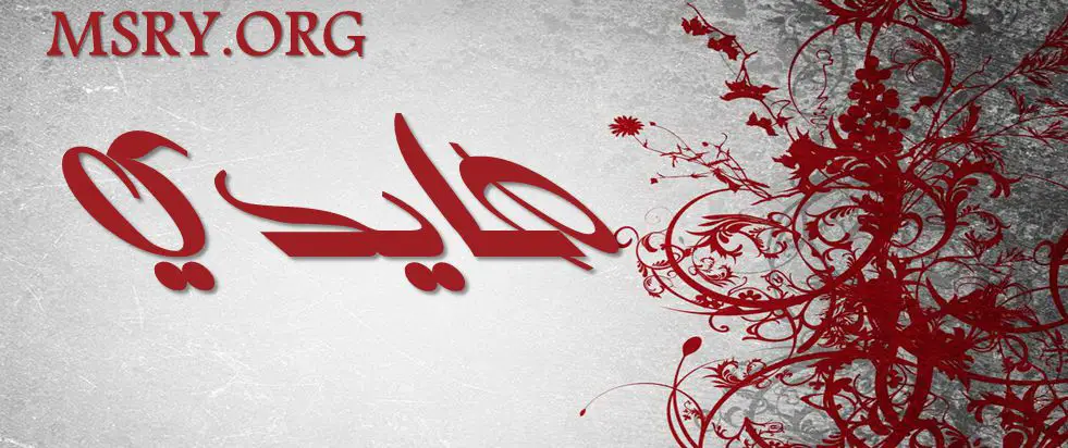 اسم هايدي