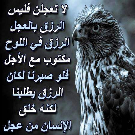 Al-Rizq 25 - အီဂျစ်ဝက်ဘ်ဆိုက်