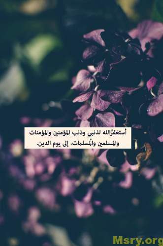 استغفر الله وصورة مكتوب عليها أستغفر الله لذنبى وذنب المؤمنين والمؤمنات والمسلمين والمسلمات إلى يوم الدين استغفر الله