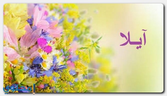 اسم آيلا