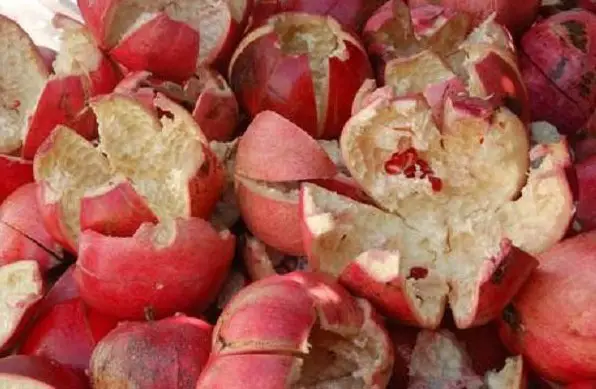 تعرف على اضرار قشر الرمان