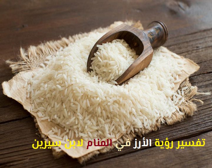 تفسير رؤية الأرز في المنام لابن سيرين موقع مصري