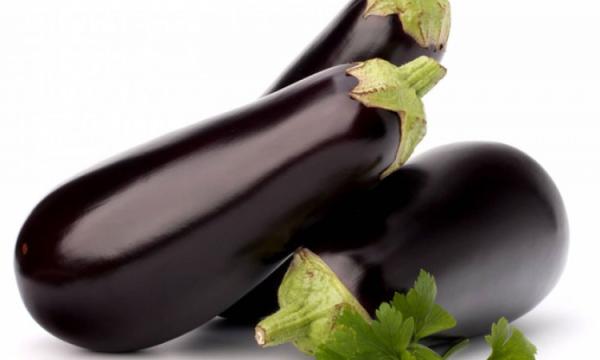 Eggplant riyo