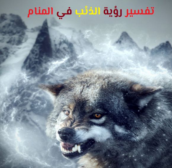 تفسير رؤية الذئب في المنام لابن سيرين ابن شاهين موقع مصري