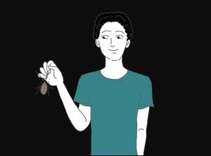 Paghubad sa pagtan-aw sa usa ka uk-ok sa usa ka damgo