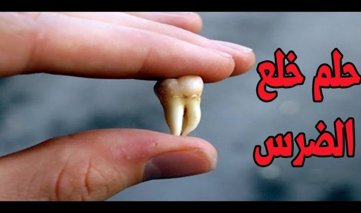 ÙƒÙ„ Ù…Ø§ ØªØ¨Ø­Ø« Ø¹Ù†Ù‡ ÙÙŠ ØªÙØ³ÙŠØ± Ø­Ù„Ù… Ø§Ù„Ù…ÙˆØªÙˆØ³ÙŠÙƒÙ„ ÙÙŠ Ø§Ù„Ù…Ù†Ø§Ù… Ù…ÙˆÙ‚Ø¹ Ù…ØµØ±ÙŠ