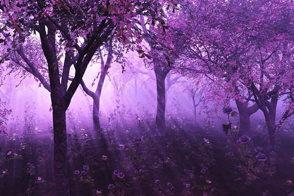 Violett färg i en dröm