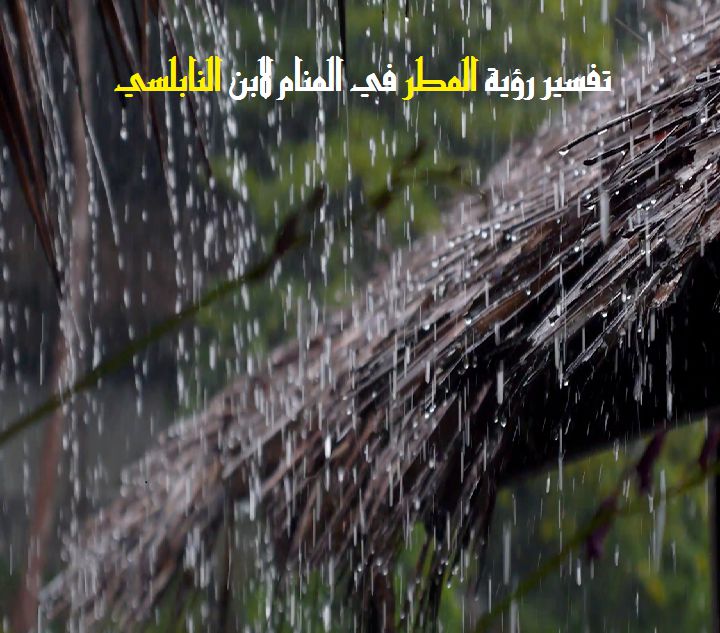 تفسير رؤية المطر في المنام لابن سيرين والنابلسي موقع مصري