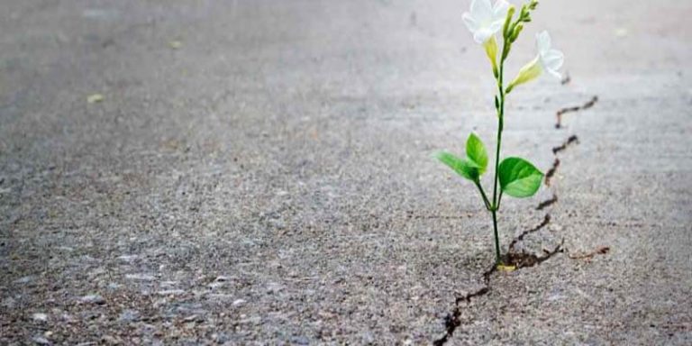 He hōʻike manaʻolana