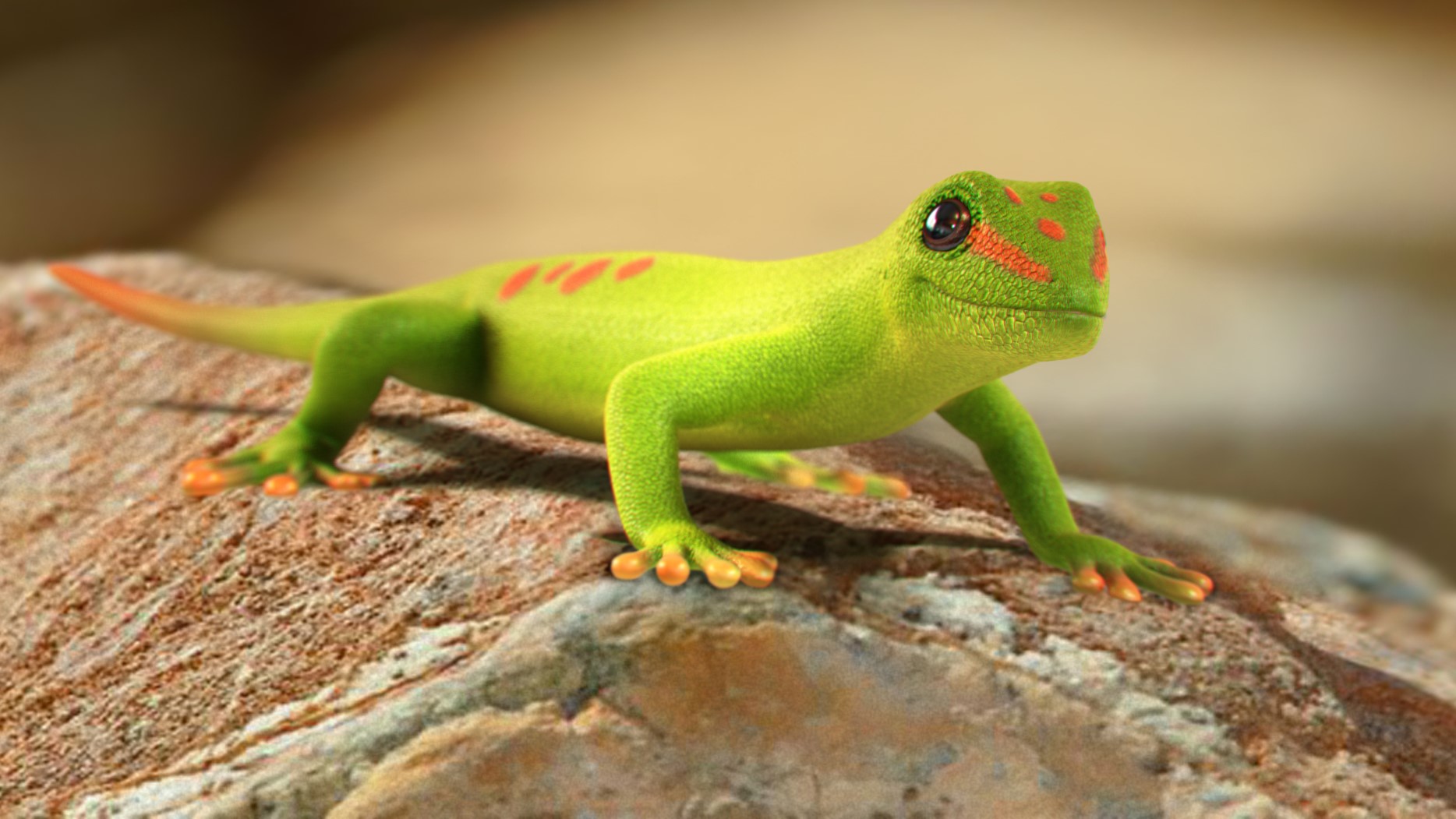 ການຕີຄວາມຫມາຍຂອງຄວາມຝັນກ່ຽວກັບ gecko ໄດ້