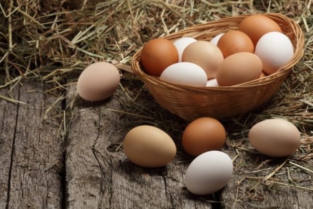 Droom van het verzamelen van eieren