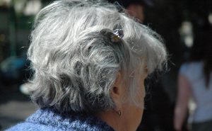 꿈에서 흰머리의 해석