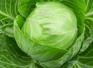 Azaren interpretazioa amets batean