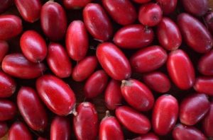 Bir xəyalda qırmızı xurma