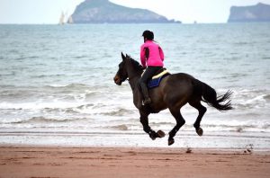 ການຕີຄວາມຫມາຍຂອງຄວາມຝັນກ່ຽວກັບການຂີ່ມ້າ