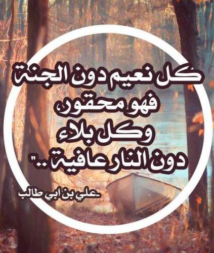حكم عن كل نعيم دون الجنة فهو محقور وكل بلاء دون النار عافية صورة حكمة عن الجنة