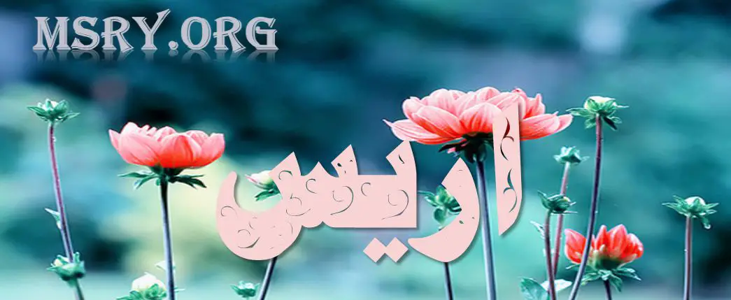 معنى اسم أريس