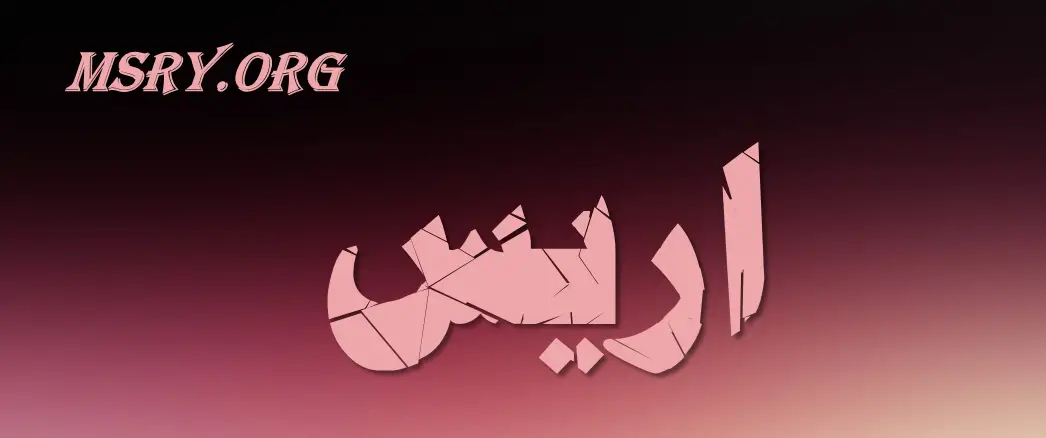 معنى اسم أريس