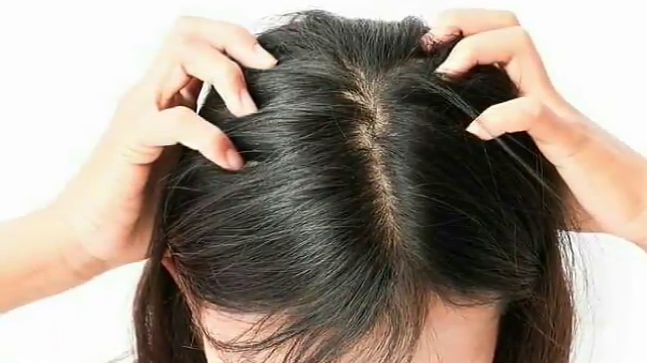 شادی شدہ عورت کے بالوں سے جوئیں نکلتے دیکھنا