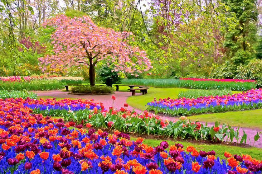 موضوع تعبير عن فصل الربيع وجمال الطبيعة • موقع مصري