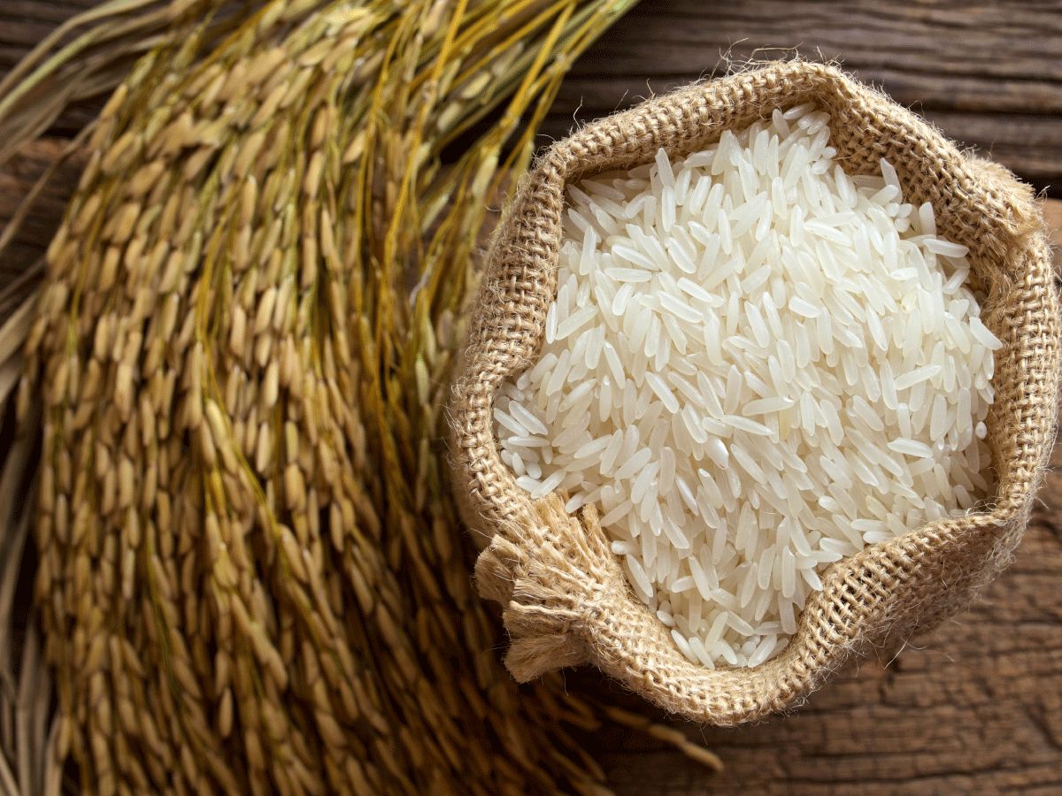 الأرز المطبوخ في المنام Cooknays Com
