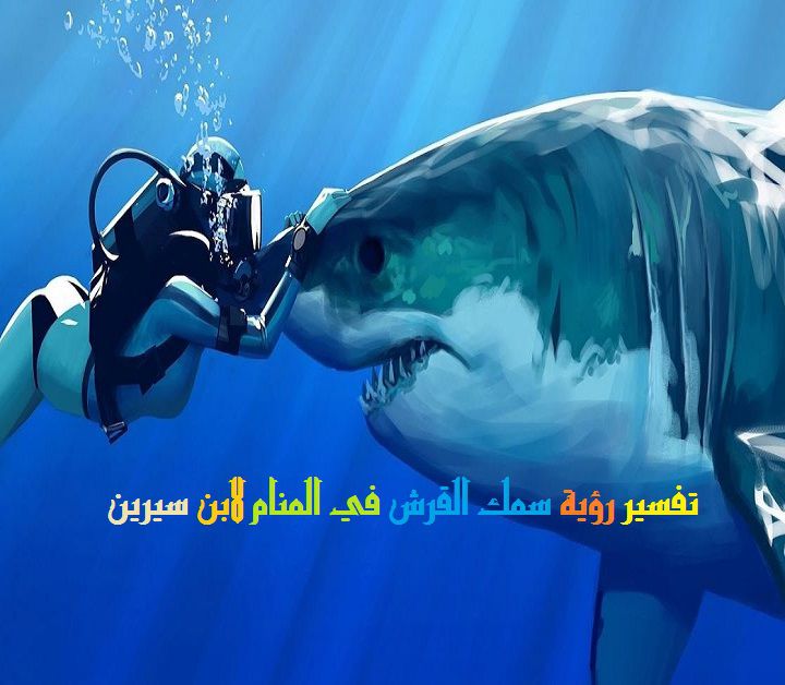 Rekin we śnie - egipska strona internetowa