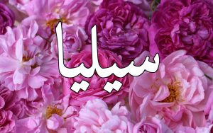 Lub ntsiab lus ntawm lub npe Celia