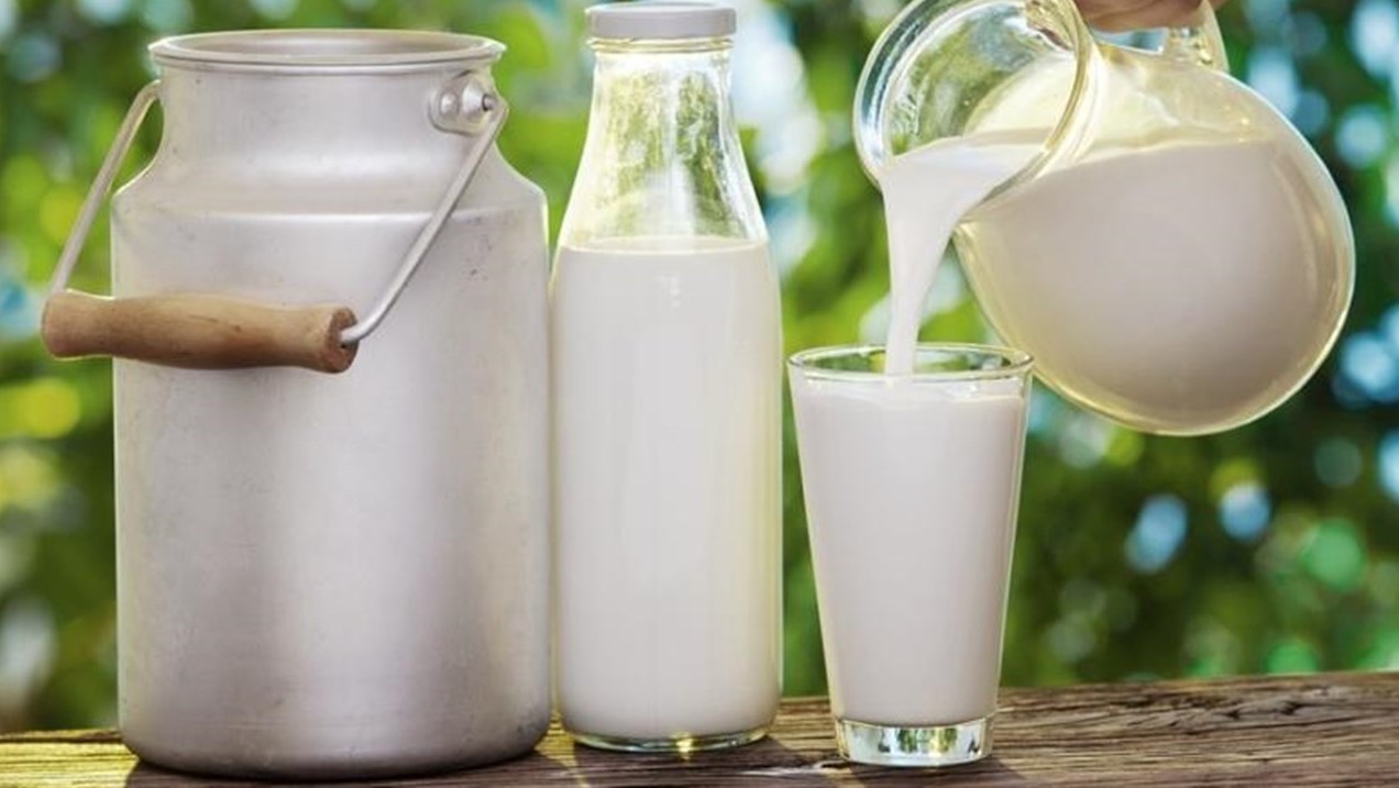 ما هو تفسير رؤية الحليب في المنام لابن سيرين موقع مصري