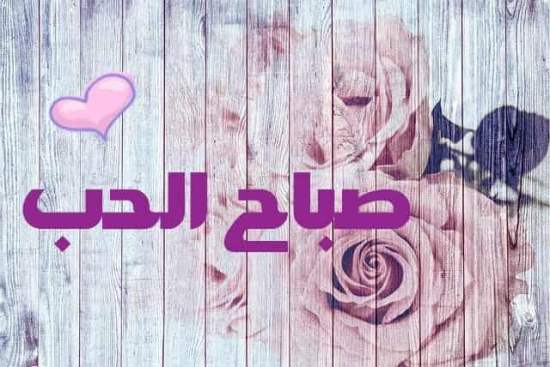 Love 33 1 - אתר מצרי