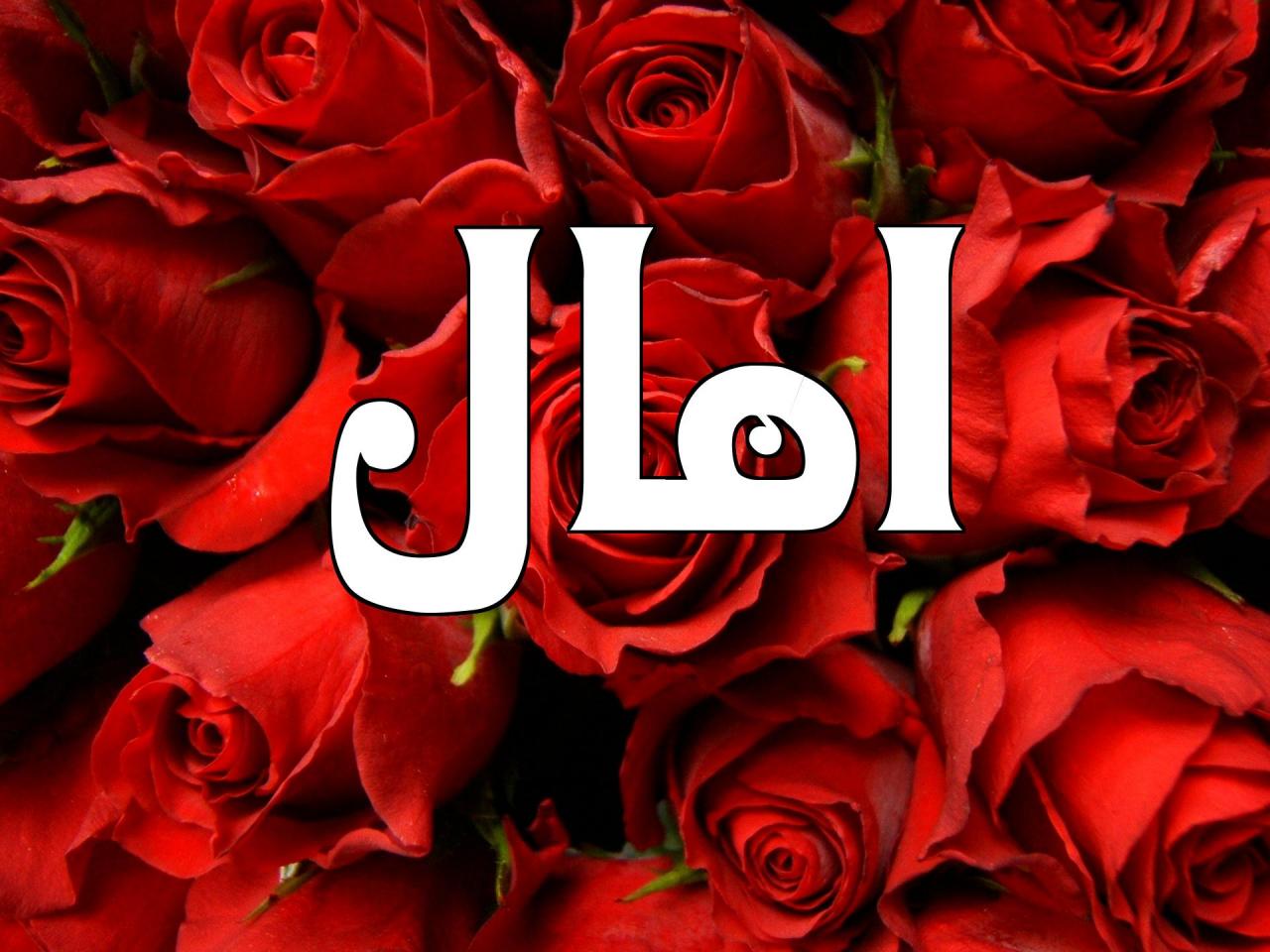 معنى اسم آمال