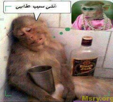 صور مضحكة صور ضحك مصرية صور مضحكة 2017 funny-images-191