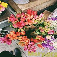 %d8%b5%d9%88%d8%b1-%d9%88%d8%b1%d8%af-rosa-images-072