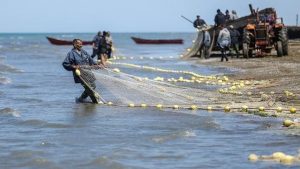 Peshkimi në një ëndërr