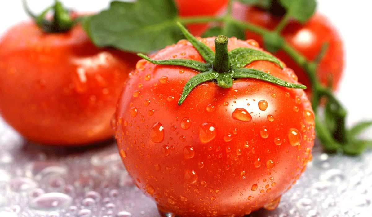 Dreaming ti awọn tomati nigba ti sisun