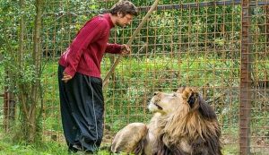 j'ai rêvé d'un lion