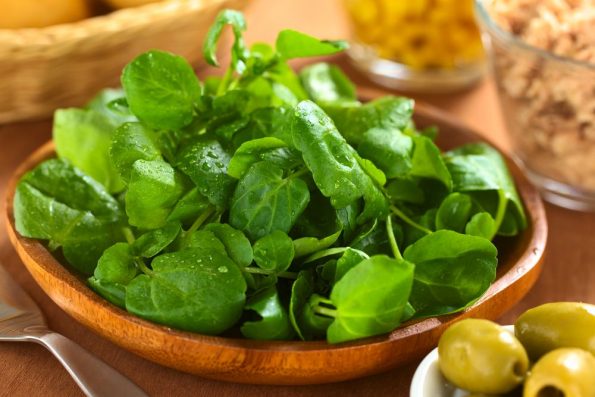 Ziziphi iingenelo ze-watercress kumzimba