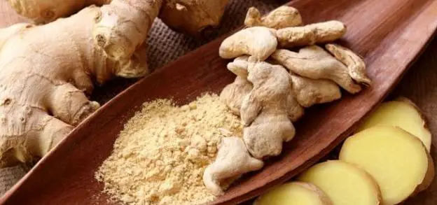 معلومات عامة عن فوائد الزنجبيل