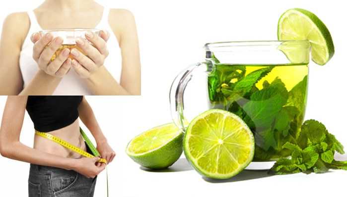 Lær om fordelene med grønn te for kosthold