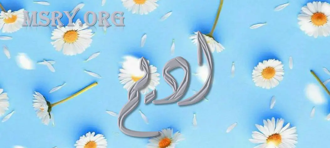 معنى اسم أديم