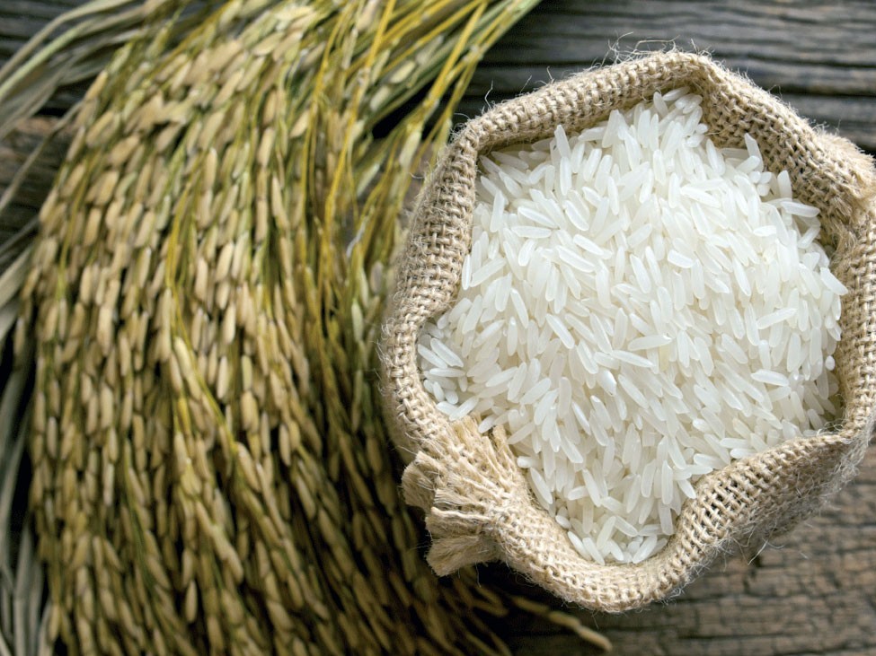 تفسير ظهور الأرز في المنام للمتزوجة موقع مصري