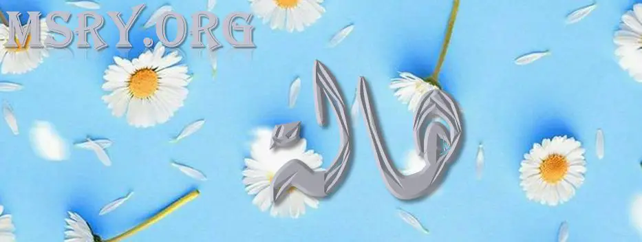معنى اسم هالة
