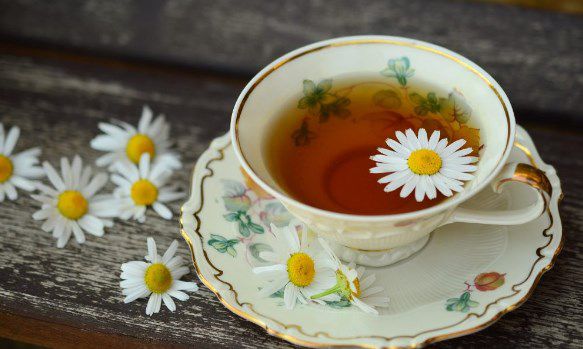 معلومات عن فوائد البابونج للحامل