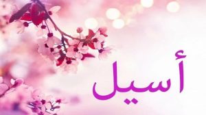 Značenje imena Aseel