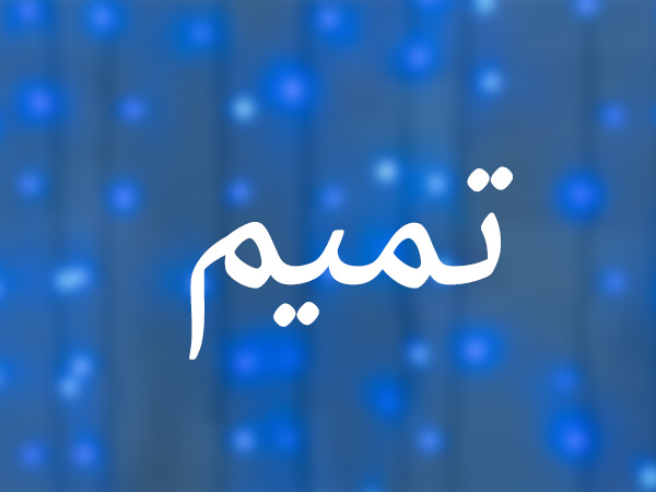 معنى اسم تميم في اللغة العربية وحكم تسميته في الإسلام موقع مصري