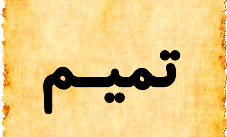معنى اسم تميم في اللغة العربية وحكم تسميته في الإسلام موقع مصري