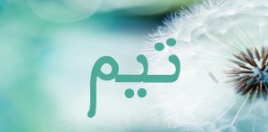 Signification du prénom Tim