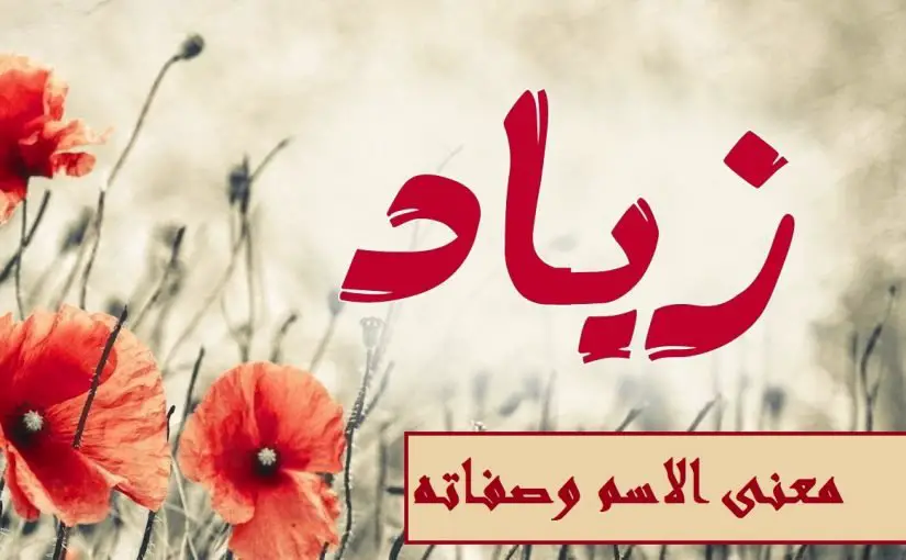 معنى اسم زياد