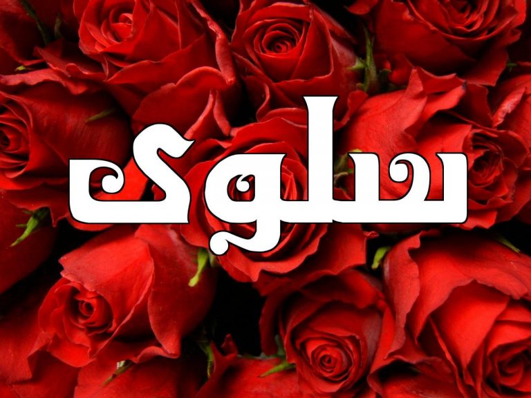 Salwa name meaning